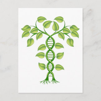 Postal concepto de planta de ADN