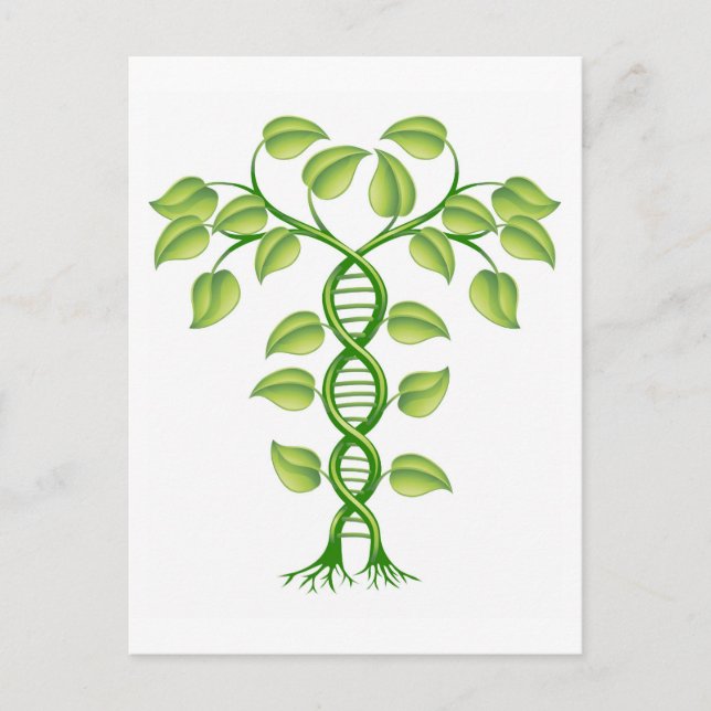 Postal concepto de planta de ADN (Anverso)