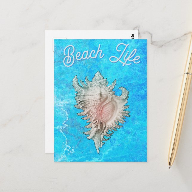 Postal Conch Shell "Beach Life" (Anverso/Reverso In Situ)