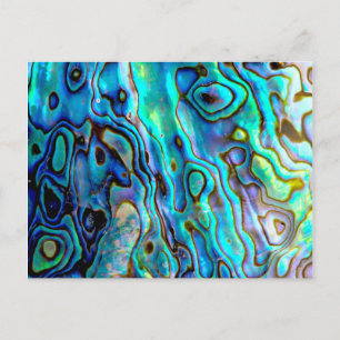 Postal Concha de Abalone