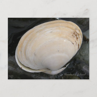 Postal Concha de almejas con mantequilla, isla Unalaska