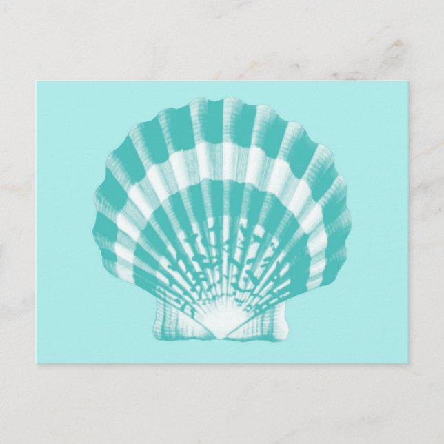 Postal Concha de mar: agua suave y blanco (Anverso)