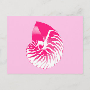 Postal concha de nautilo - rosa fucsia y blanco