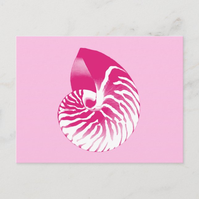 Postal concha de nautilo - rosa fucsia y blanco (Anverso)