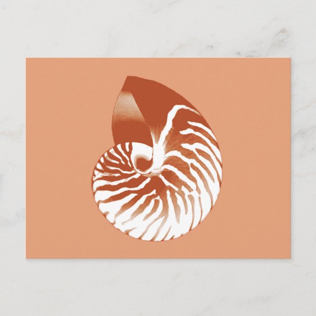 Postal concha de nautilo - terracota y blanco (Anverso)