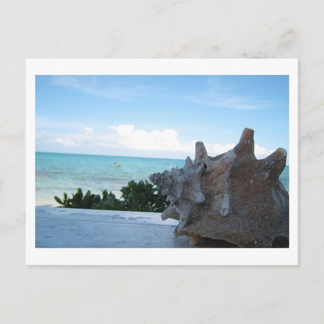 Postal Concha por el océano (Anverso)