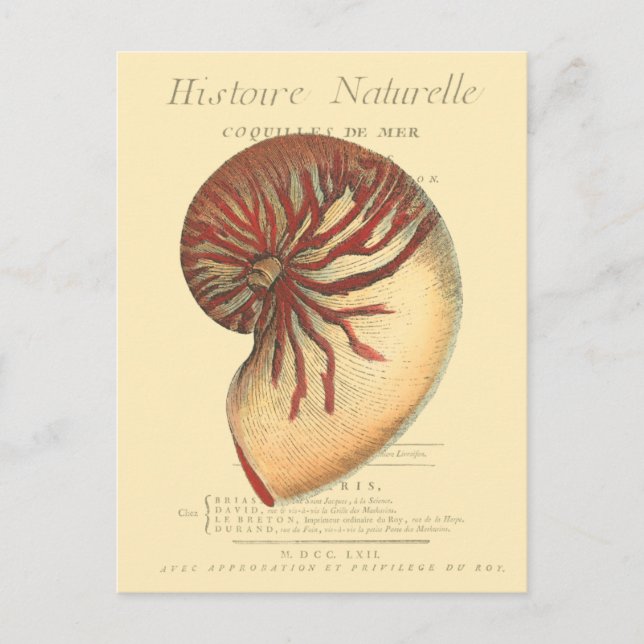 Postal Concha roja vintage (Anverso)