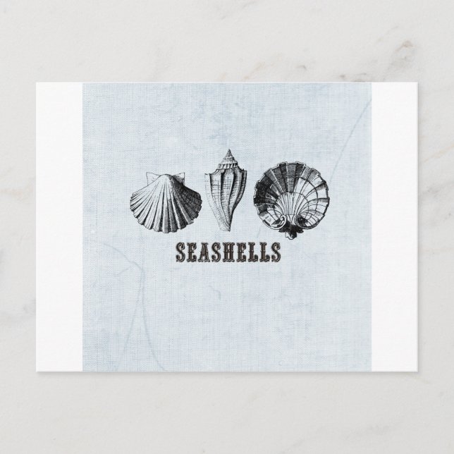 Postal Conchas Antiguas (Anverso)