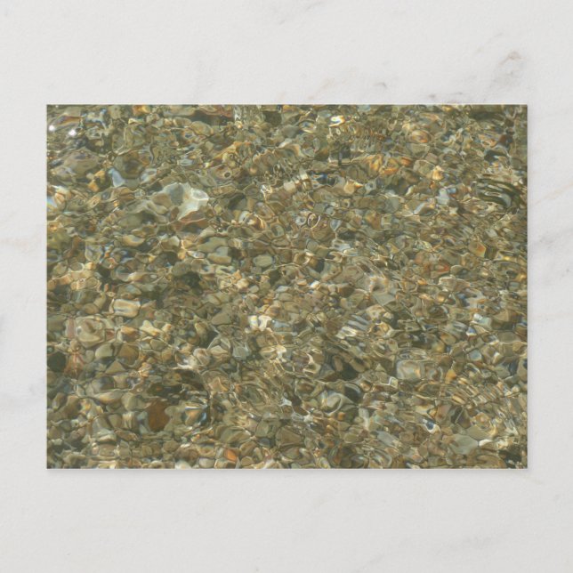 Postal Conchas bajo el agua rizada (Anverso)