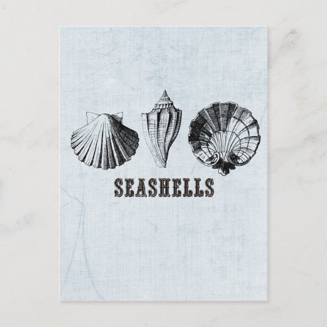 Postal Conchas de mar vintage (Anverso)
