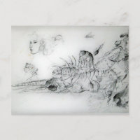 CONCHAS DE MAR Y JOVEN MUJER Dibujo en blanco y ne