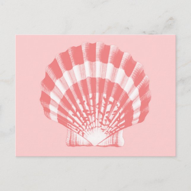 Postal Conchas marinas - rosa y blanco de coral (Anverso)