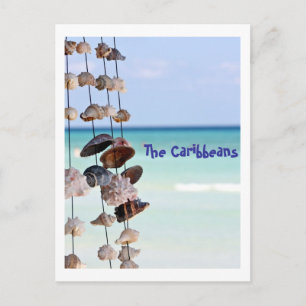 Postal conchas marinas sobre fondo marino