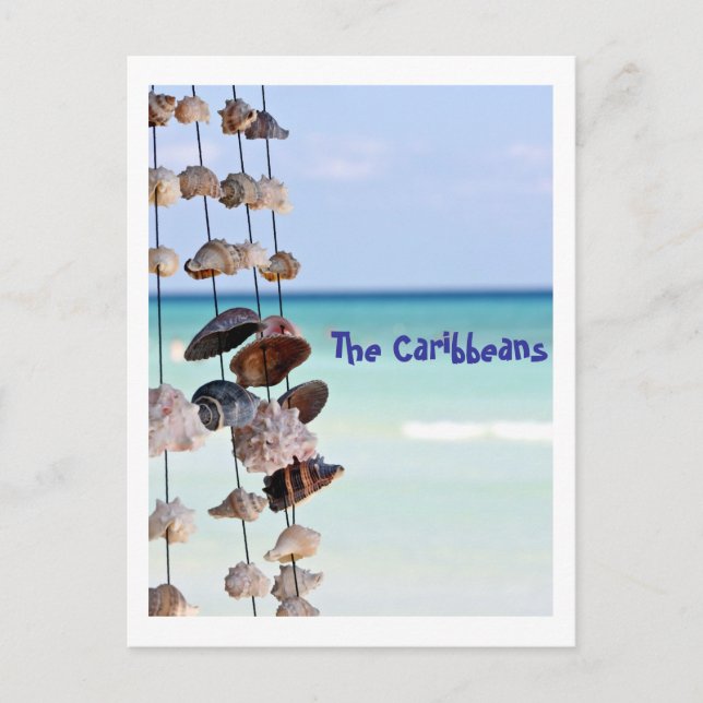 Postal conchas marinas sobre fondo marino (Anverso)