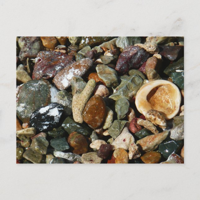 Postal conchas, rocas y fotografía de la naturaleza coral (Anverso)