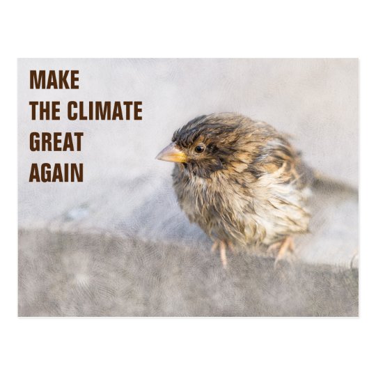 Postal Conciencia del cambio de clima
