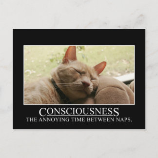 Postal Conciencia: el tiempo molesto entre siestas
