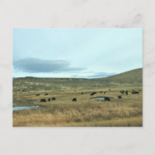 Postal Condado de Baker Rural, impresión de lonas de Oreg