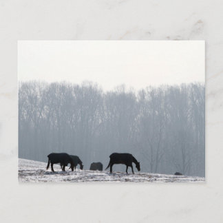 Postal Condado de Chester, Pa