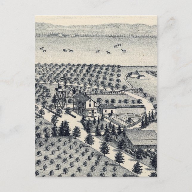 Postal Condado de Fresno, California 20 (Anverso)