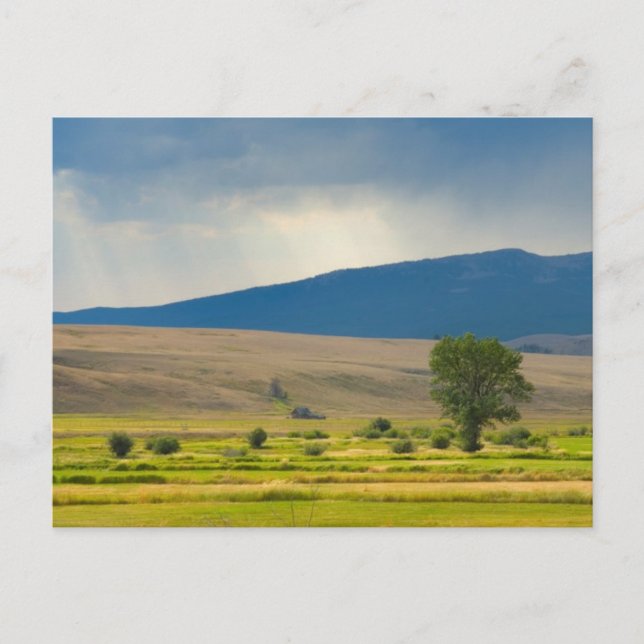 Postal Condado de Granite Montana (Anverso)