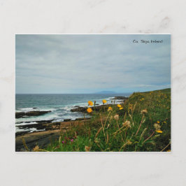 Postal Condado de Sligo, Irlanda Postcard