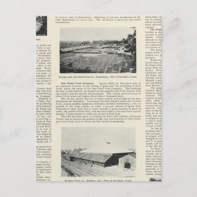 Postal Condado de Sonoma, California (Anverso)