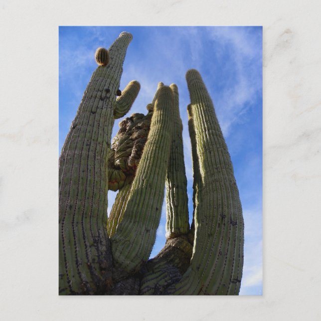 Postal Conduce y lo extraño... (Anverso)