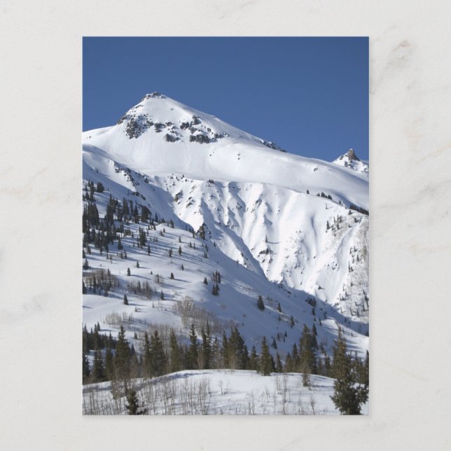 Postal conducir en colorado (Anverso)