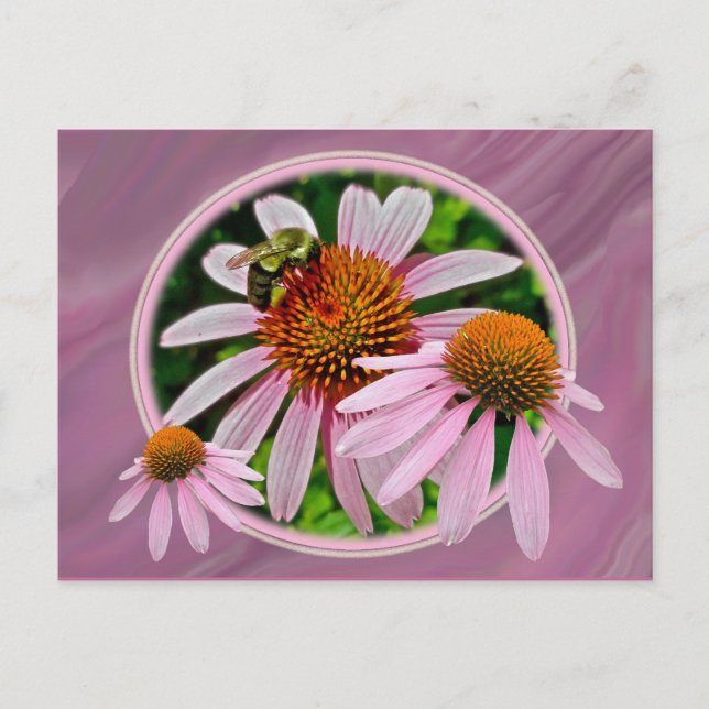Postal Coneflower y Bee (Anverso)