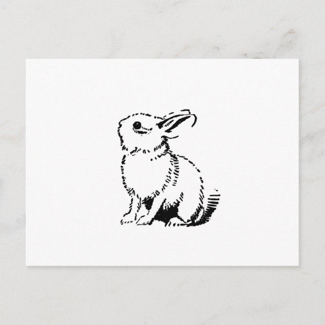 Postal conejito (Anverso)
