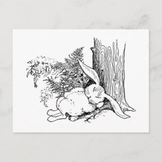 Postal Conejito durmiendo en un bosque