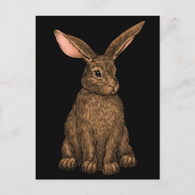 Postal Conejo 3 (Anverso)