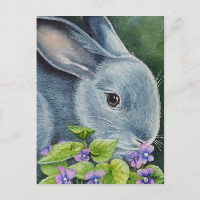 Postal Conejo azul americano en arte acuático violeta (Anverso)