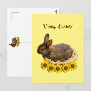 Postal Conejo bebé lindo - conejo de Pascua