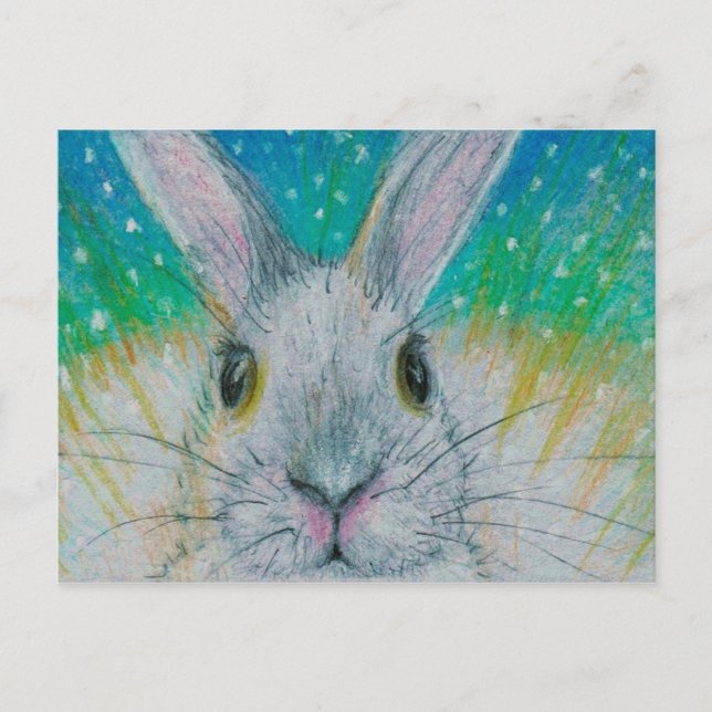 Postal ¡Conejo blanco en la nieve! (Anverso)