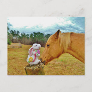 Postal Conejo blanco y caballo amarillo