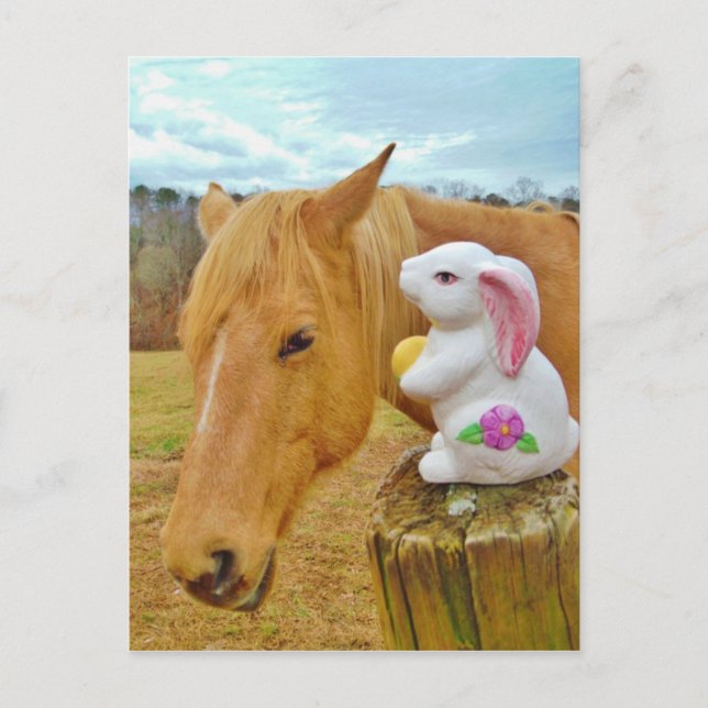 Postal Conejo blanco y caballo amarillo rubio (Anverso)