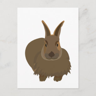Postal Conejo Bunny