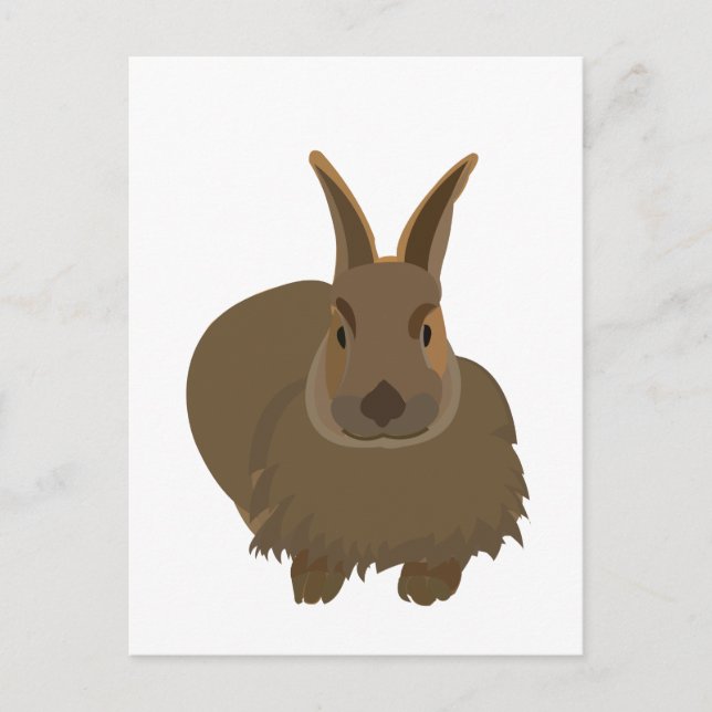 Postal Conejo Bunny  (Anverso)