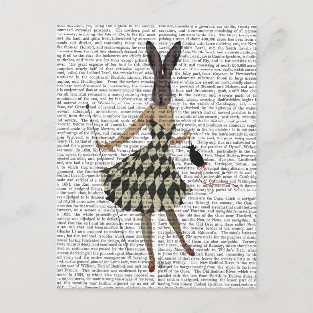 Postal Conejo con vestido blanco negro (Anverso)