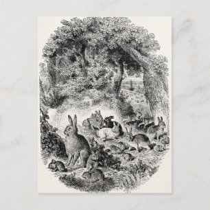 Postal Conejo de conejo de conejo de conejo de 1800