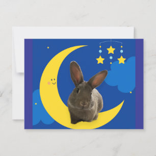 Postal Conejo de Luna