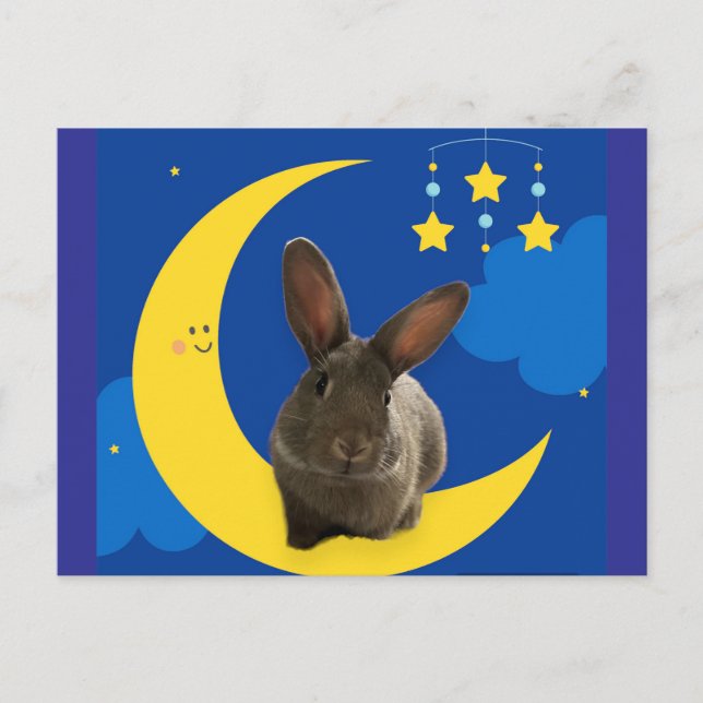 Postal Conejo de Luna (Anverso)