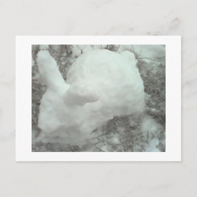 Postal ¡Conejo hecho de nieve! (Anverso)