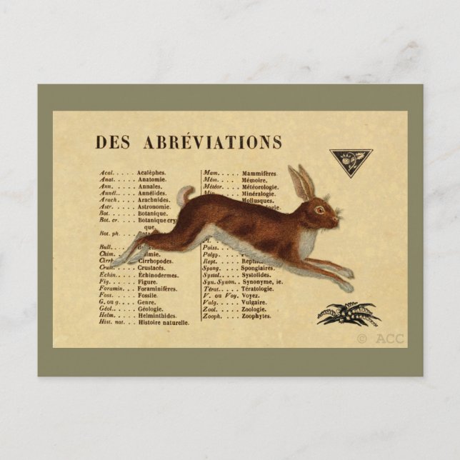 Postal Conejo marrón (Anverso)