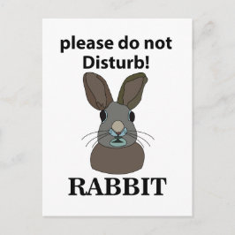 Postal Conejo Por Favor No Perturbe El Conejo Gracioso