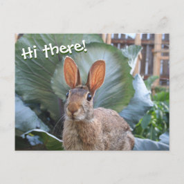 Postal [Conejo salvaje] Aburrido conejo en el jardín en c