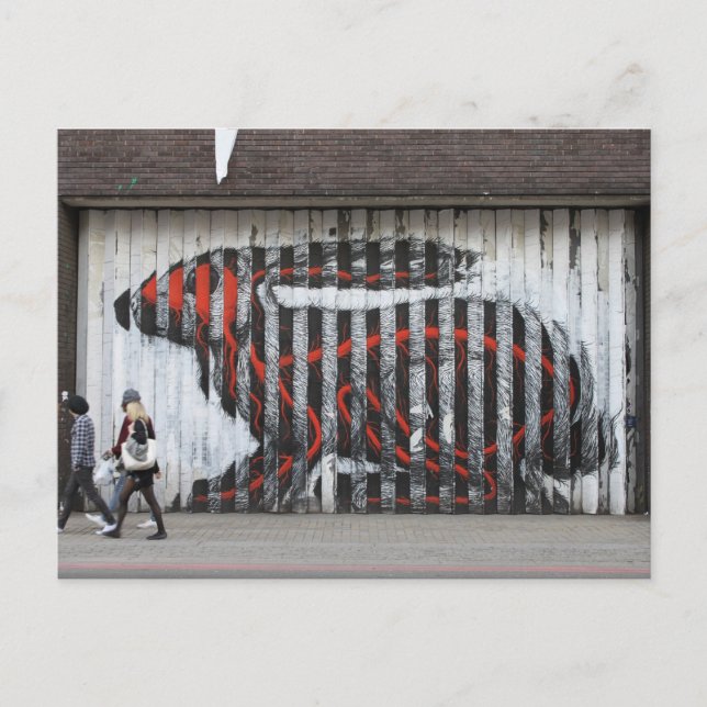 Postal Conejo urbano (Anverso)