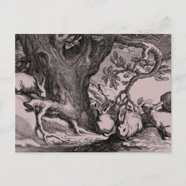 Postal Conejos de conejo retro vintage (Anverso)